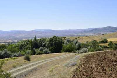 Harabetepe Höyüğü